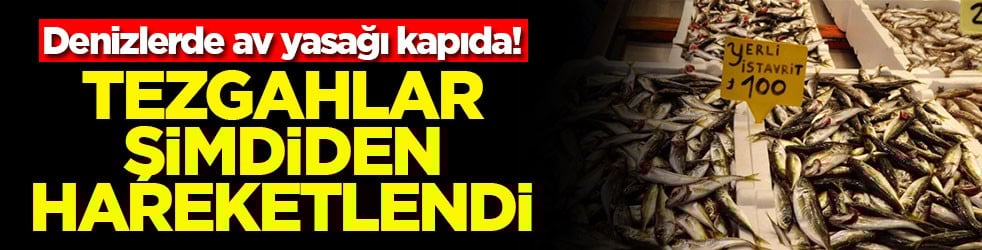 Denizlerde av yasağı kapıda! Tezgahlar şimdiden hareketlendi