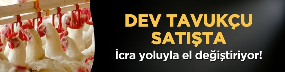 Dev tavukçu satışta: İcra yoluyla el değiştiriyor!