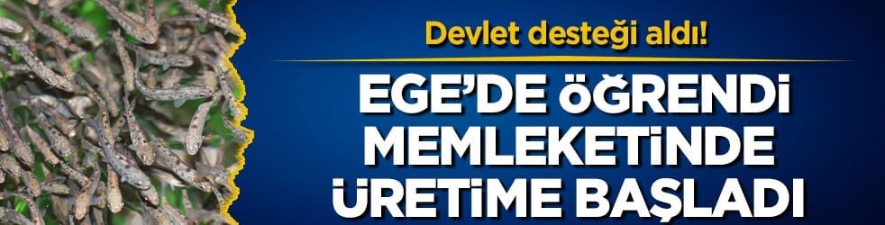 Devlet desteği aldı! Ege’de öğrendi, memleketinde üretime başladı