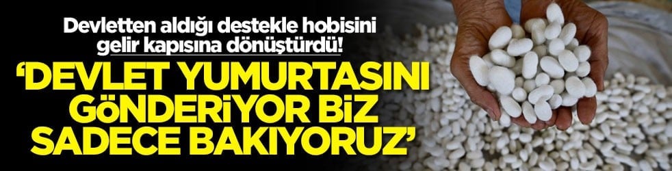 Devletten aldığı destekle hobisini gelir kapısına dönüştürdü! ‘Devlet yumurtasını gönderiyor biz sadece bakıyoruz'