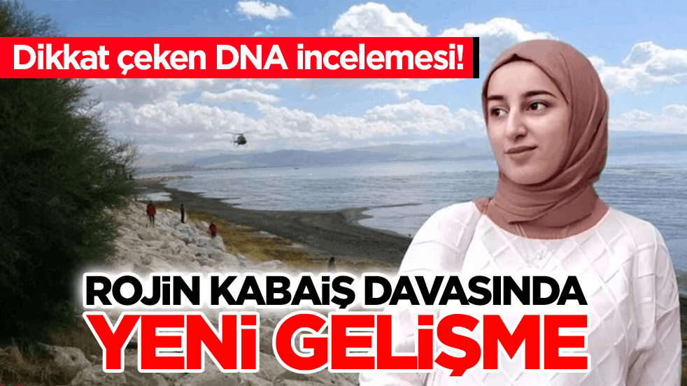 Dikkat çeken DNA incelemesi! Rojin Kabaiş davasında yeni gelişme