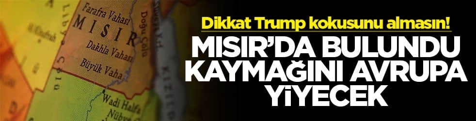 Dikkat Trump kokusunu almasın! Mısır'da bulundu kaymağını Avrupa yiyecek