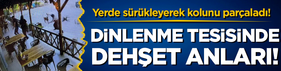 Dinlenme tesisinde dehşet anları! Yerde sürükleyerek kolunu kopardı!