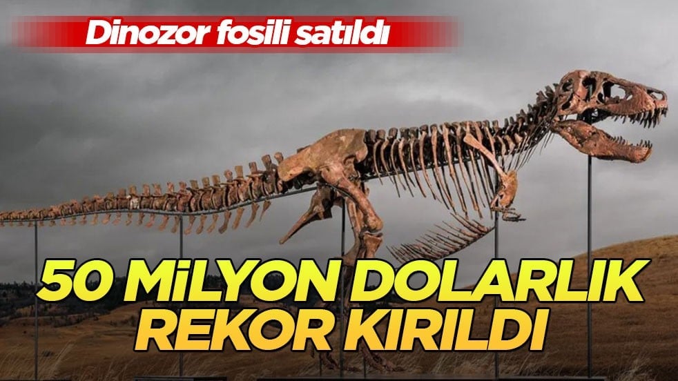 Dinozor fosili satıldı! 50 milyon dolarlık rekor kırıldı