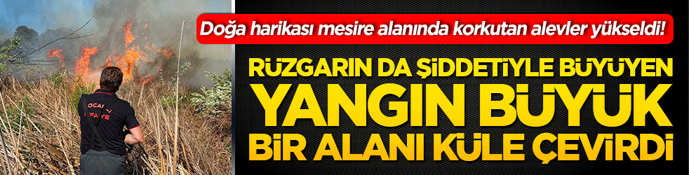 Doğa harikası mesire alanında korkutan alevler yükseldi! Rüzgarın da şiddetiyle büyüyen yangın büyük bir alanı küle çevirdi!