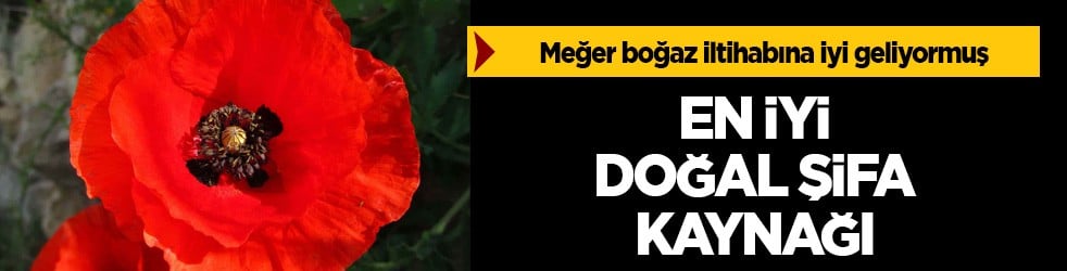 Doğal şifa kaynağı: Meğer o boğaz iltihabına iyi geliyormuş! Mayıs ayında kapış kapış satılıyor