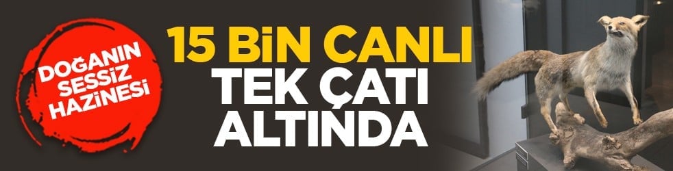 Doğanın sessiz hazinesi: 15 bin canlı tek çatı altında