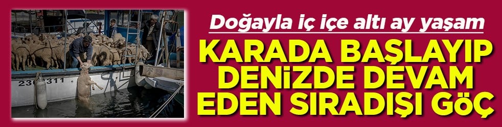 Doğayla iç içe altı ay yaşam Karada başlayıp denizde devam eden sıra dışı göç