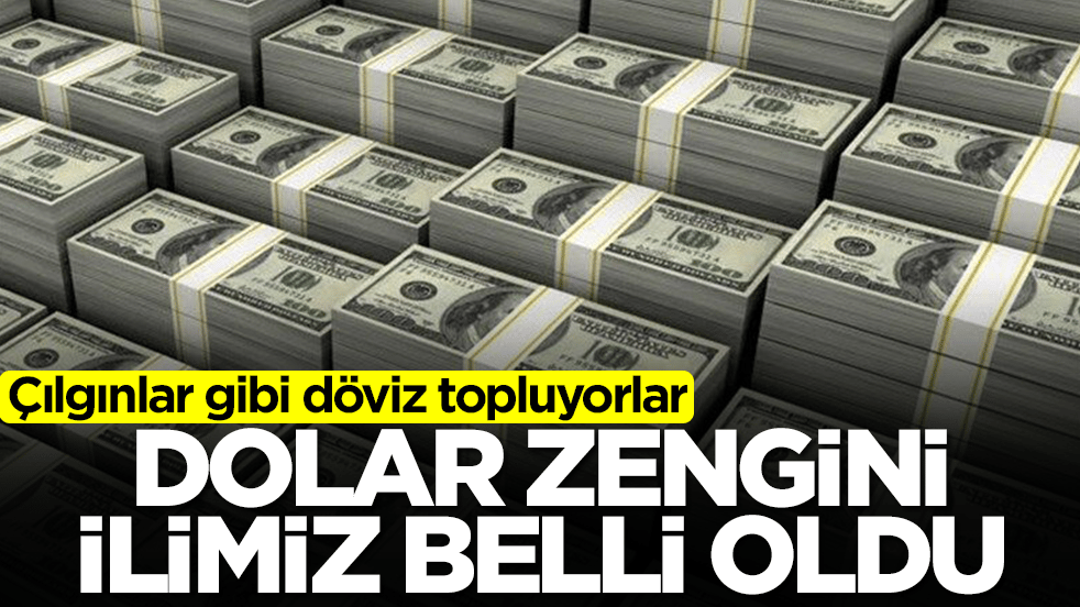 Dolar zengini ilimiz belli oldu: Çılgınlar gibi döviz topluyorlar