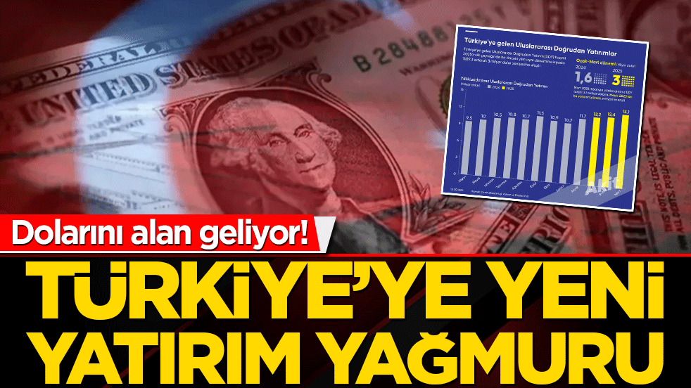 Dolarını alan geliyor! Türkiye’ye yeni yatırım yağmuru
