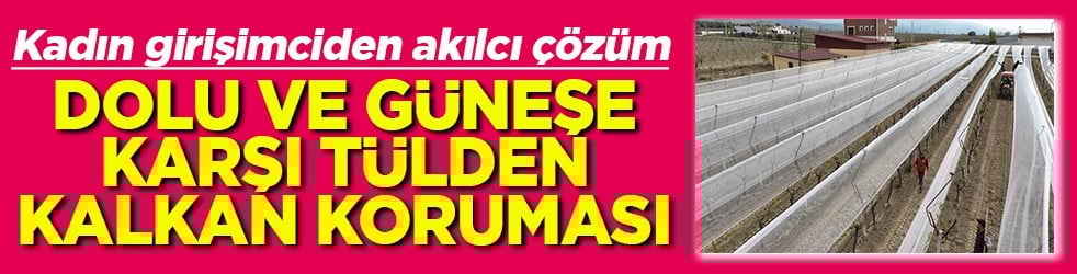 Dolu ve güneşe karşı tülden kalkan koruması
