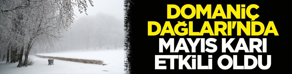 Domaniç Dağları'nda mayıs karı etkili oldu