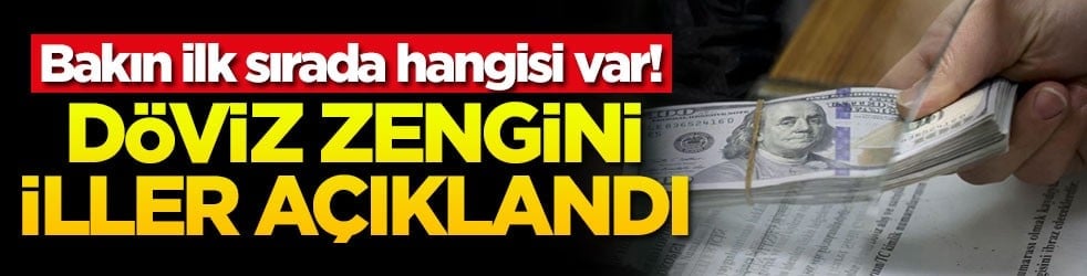 Döviz zengini iller açıklandı! Bakın ilk sırada hangisi var