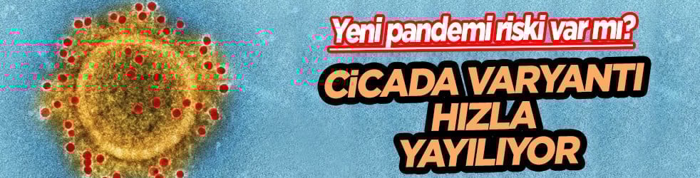 Dünya şokta! Cicada varyantı hızla yayılıyor: Yeni pandemi riski var mı?