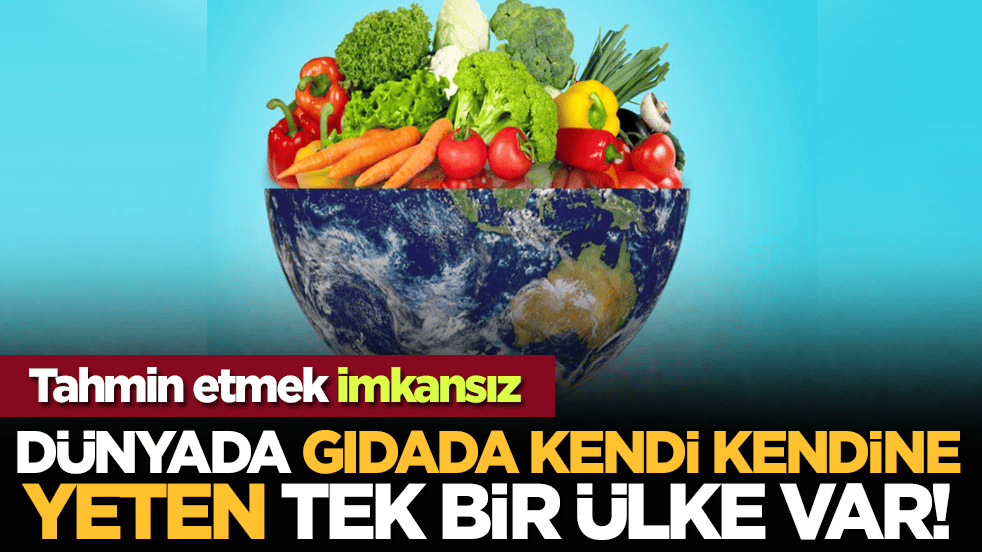 Dünyada gıdada kendi kendine yeten tek bir ülke var! Tahmin etmek imkansız