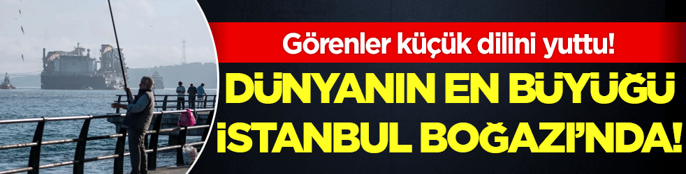 Dünyanın en büyüğü İstanbul Boğazı'nda! Görenler küçük dilini yuttu!
