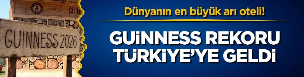 Dünyanın en büyük arı oteli! Guinness rekoru Türkiye’ye geldi