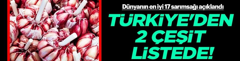 Dünyanın en iyi 17 sarımsağı açıklandı: Türkiye'den 2 çeşit listede... İlk sırayı o ülke aldı