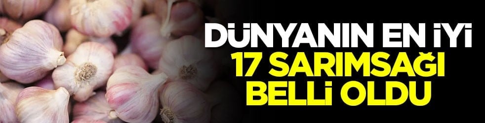 Dünyanın en iyi 17 sarımsağı belli oldu