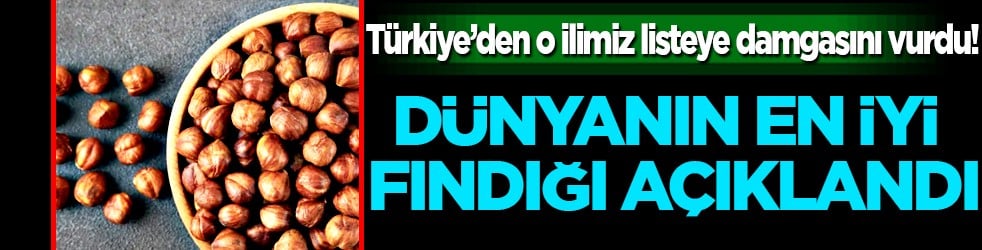 Dünyanın en iyi fındığı açıklandı: Türkiye’den o ilimiz listeye damgasını vurdu! Belli oldu!