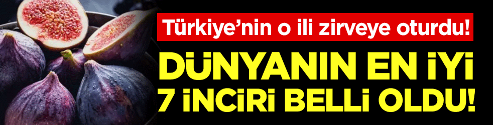 Dünyanın en iyi incirleri belli oldu: Türkiye'nin o ili zirveye oturdu!