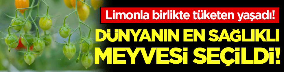 Dünyanın en sağlıklı meyvesi seçildi! Limonla tüketen yaşadı! 