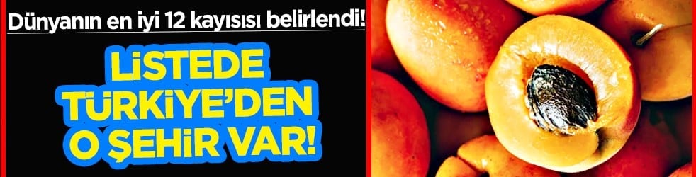Duyurdular: Dünyanın en iyi 12 kayısısı belirlendi! Listede Türkiye’den o şehir var