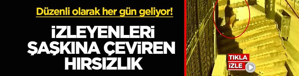 Düzenli olarak her gün geliyor! İzleyenleri şaşkına çeviren hırsızlık