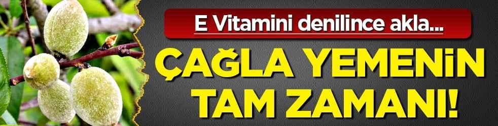 E Vitamini denilince akla... Çağla yemenin tam zamanı! Çağlanın faydaları neler, çağla neye iyi gelir?