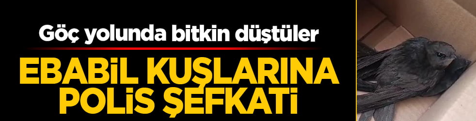 Ebrehe'nin ordusunu bozguna uğratan Ebabillere polis şefkati