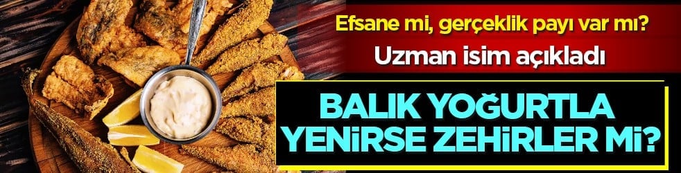 Efsane mi, gerçeklik payı mı var? Balık yoğurtla yenirse zehirler mi?