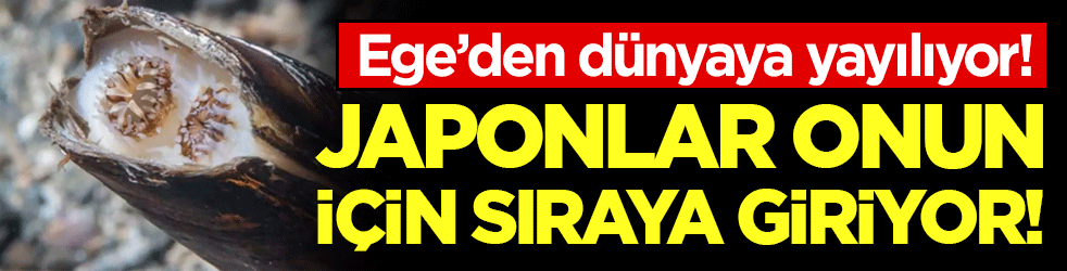 Ege'den dünyaya yayılıyor! Japonlar onun için sıraya giriyor!