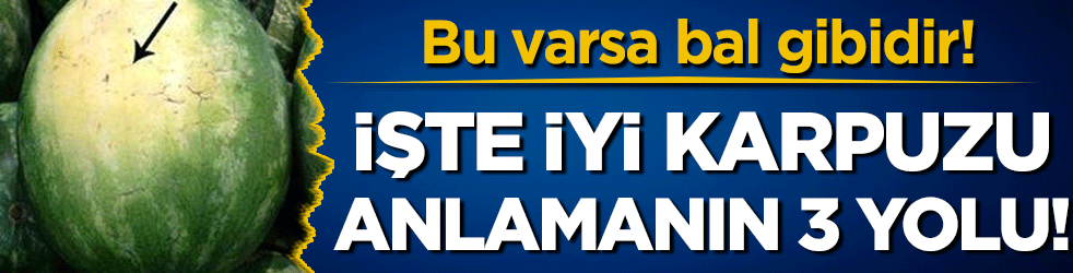Eğer bu varsa bal gibidir: İşte iyi karpuzu anlamanın 3 işareti!