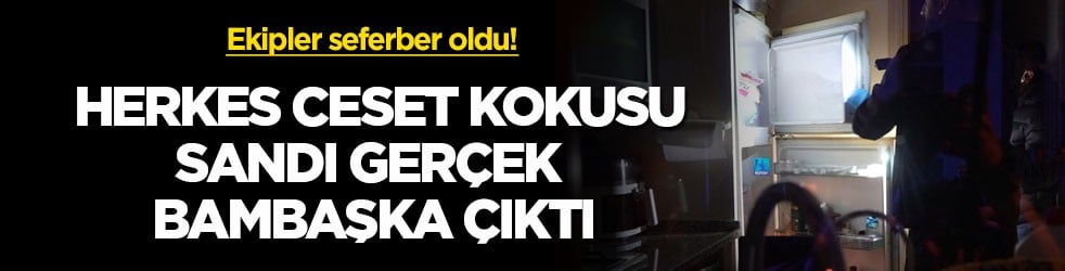 Ekipler seferber oldu! Herkes ceset kokusu sandı gerçek bambaşka çıktı