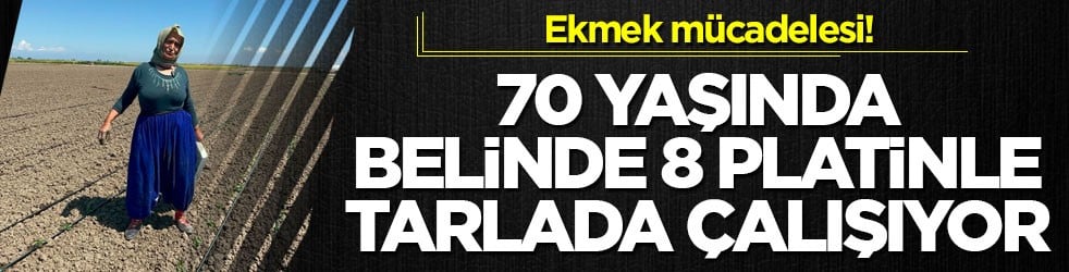 Ekmek mücadelesi! 70 yaşında, belinde 8 platinle tarlada çalışıyor