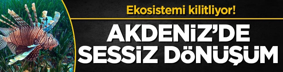 Ekosistemi kilitliyor! Akdeniz’de sessiz dönüşüm