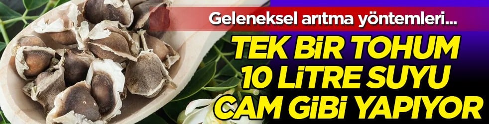 En büyük kalkan... Arıtma cihazları tamamen bitiyor: Tek bir tohum 10 litre suyu cam gibi yapıyor