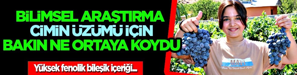Erzincan'ın tescilli üzümü: Bilimsel araştırma Cimin üzümünün çekirdeğindeki güçlü etkiyi ortaya koydu
