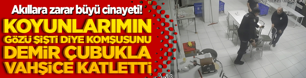 Eskişehir'de akıllara zarar büyü cinayeti! Koyunlarımın gözü şişti diye komşusunu demir çubukla vahşice katletti!