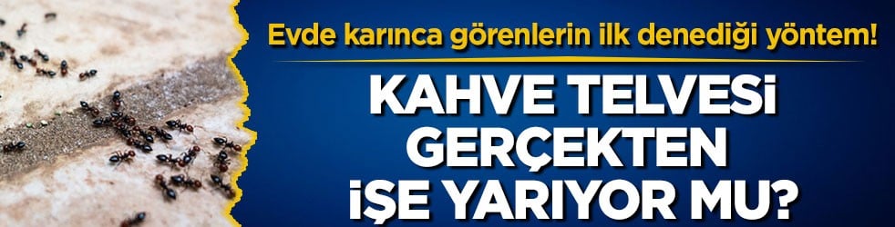 Evde karınca görenlerin ilk denediği yöntem! Kahve telvesi gerçekten işe yarıyor mu?