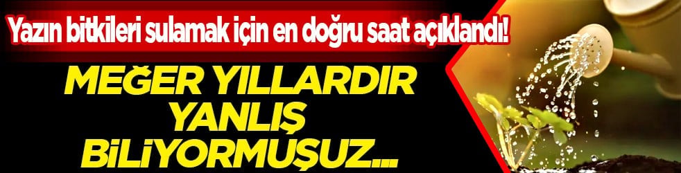 Evinde, balkonunda veya bahçesinde bitki yetiştirenler... Yazın bitkileri sulamak için en doğru saat açıklandı!