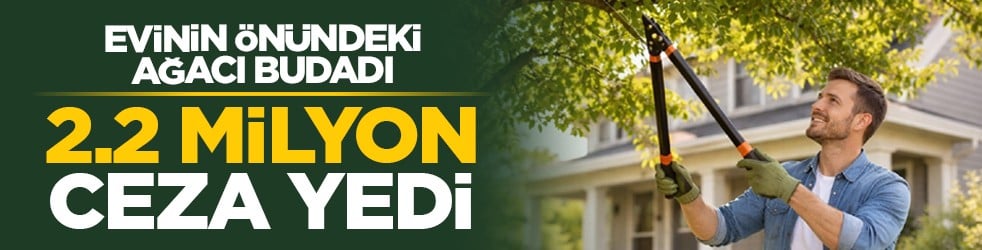 Evinin önündeki ağacı budadı: 2.2 milyon ceza yedi