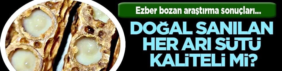 Ezber bozan araştırma sonuçları açıklandı: Doğal sanılan her arı sütü kaliteli mi işte cevabı...