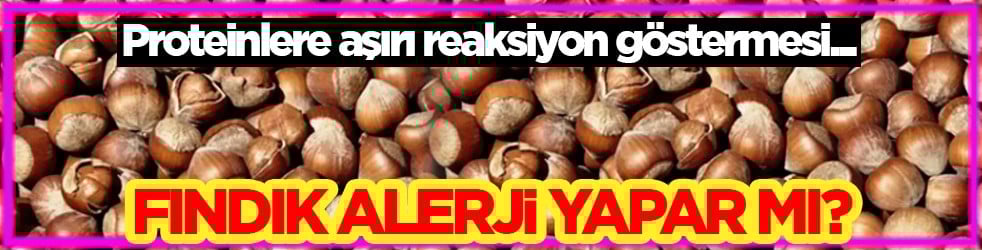 Faydası kadar zararı da olabilir mi? Fındık alerji yapar mı? Aman dikkat!