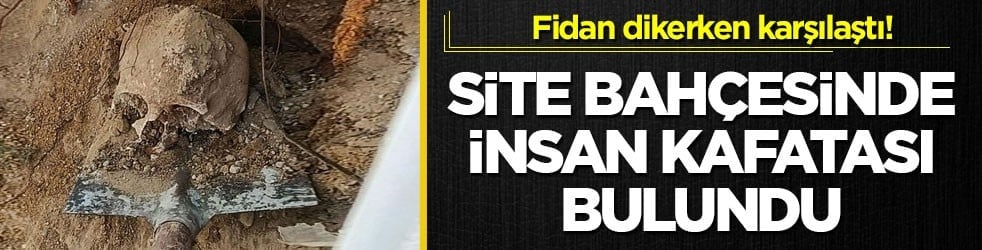 Fidan dikerken karşılaştı! Site bahçesinde insan kafatası bulundu