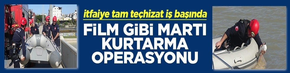 Film gibi martı kurtarma operasyonu