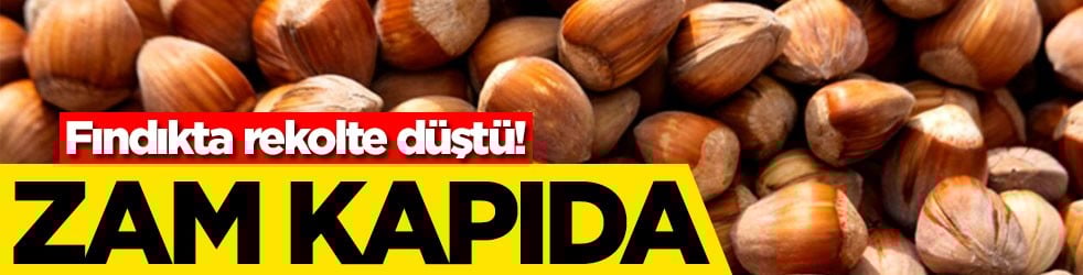 Fındıkta rekolte düştü! Zam kapıda