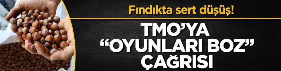 Fındıkta sert düşüş! TMO’ya "oyunları boz" çağrısı