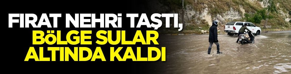 Fırat Nehri taştı, bölge sular altında kaldı