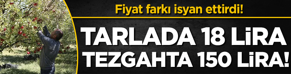 Fiyat farkı isyan ettirdi: Tarlada 18 lira, tezgahta 150 lira! 